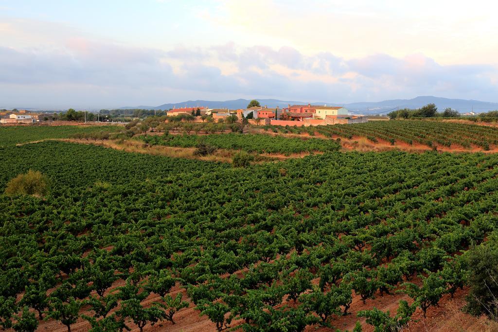 Mas Castell de Gimenelles Hotel Sant Jaume dels Domenys Esterno foto