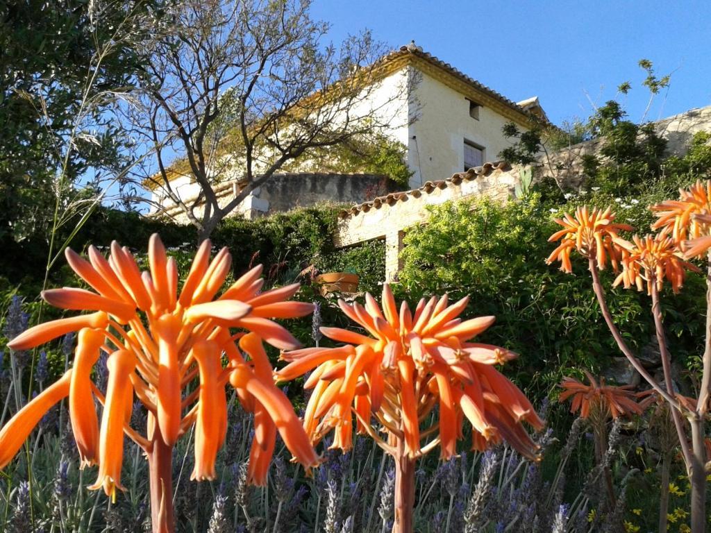 Mas Castell de Gimenelles Hotel Sant Jaume dels Domenys Esterno foto