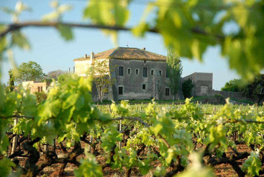 Mas Castell de Gimenelles Hotel Sant Jaume dels Domenys Esterno foto