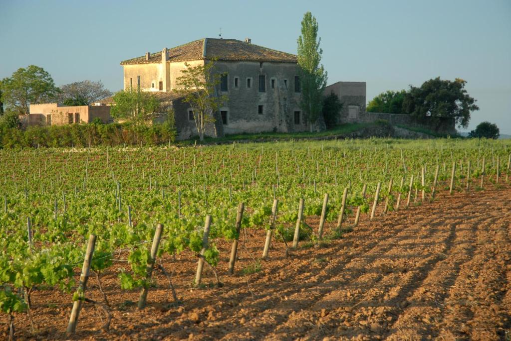 Mas Castell de Gimenelles Hotel Sant Jaume dels Domenys Esterno foto